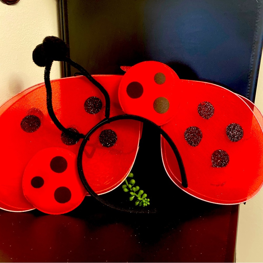 Ladybug Kids Costume Set - Red